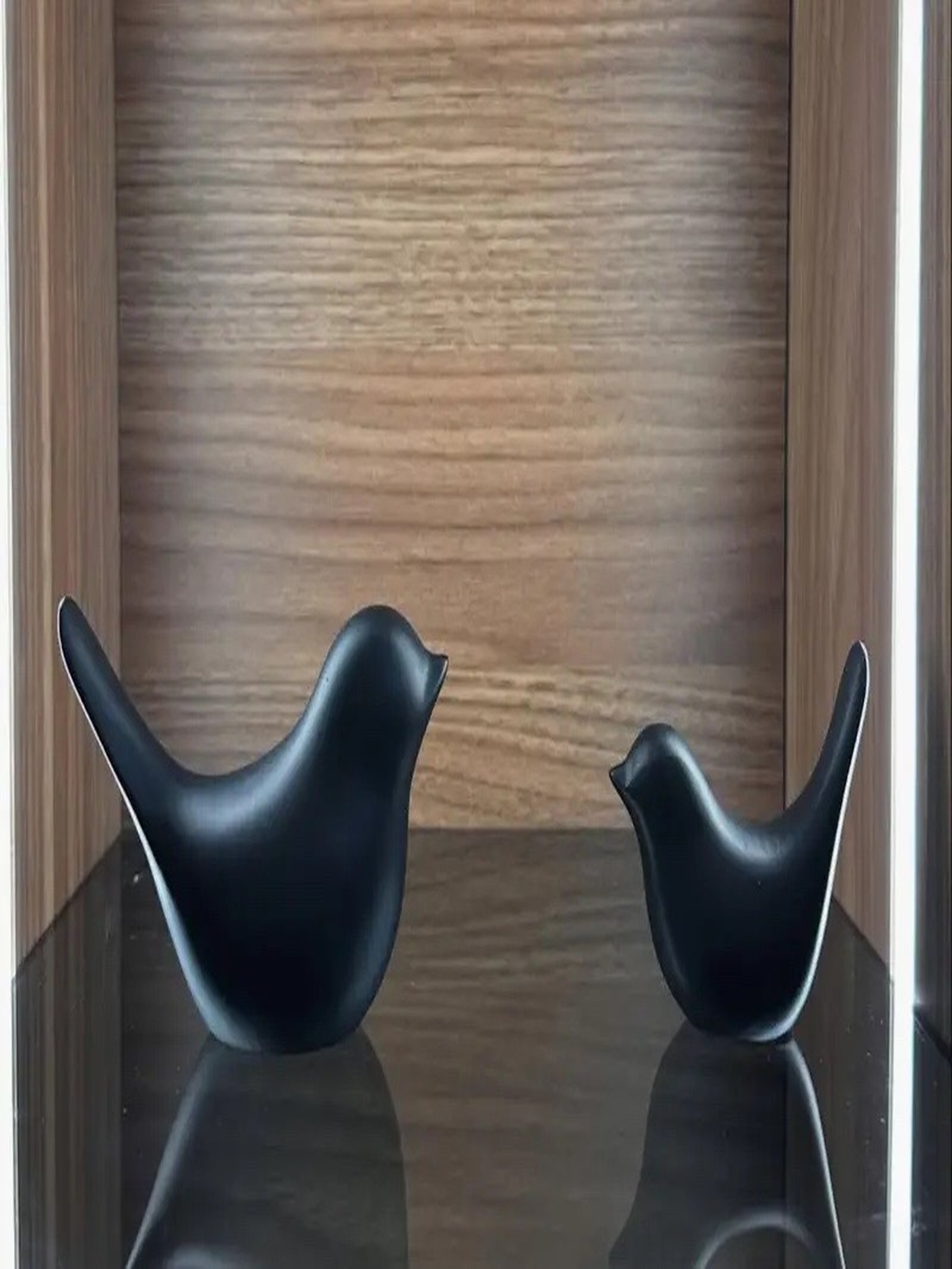 IMG_8775 Elegant Winged Bird - Image 1