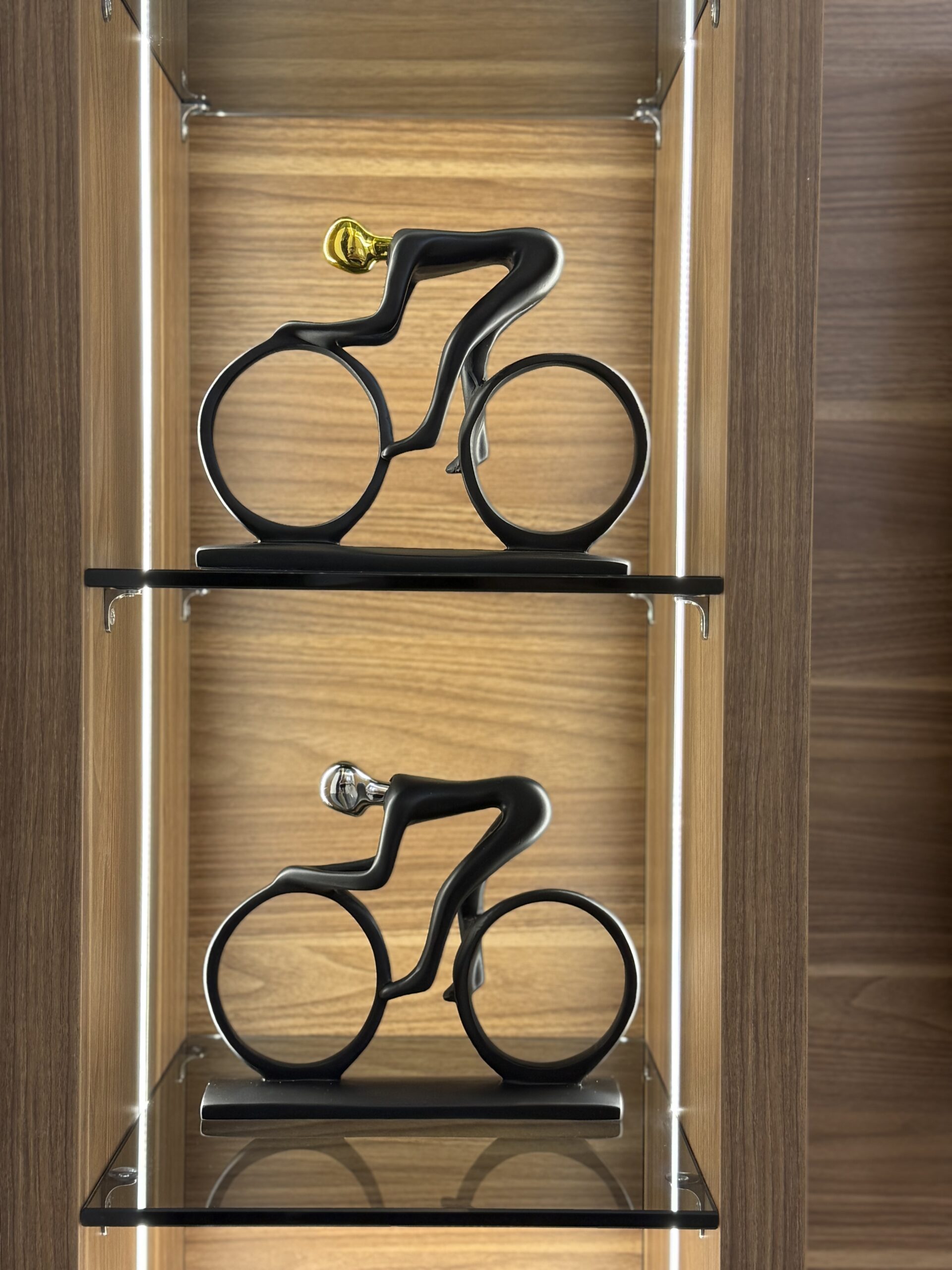 IMG_6676 Modern Cyclist Duo - Image 1