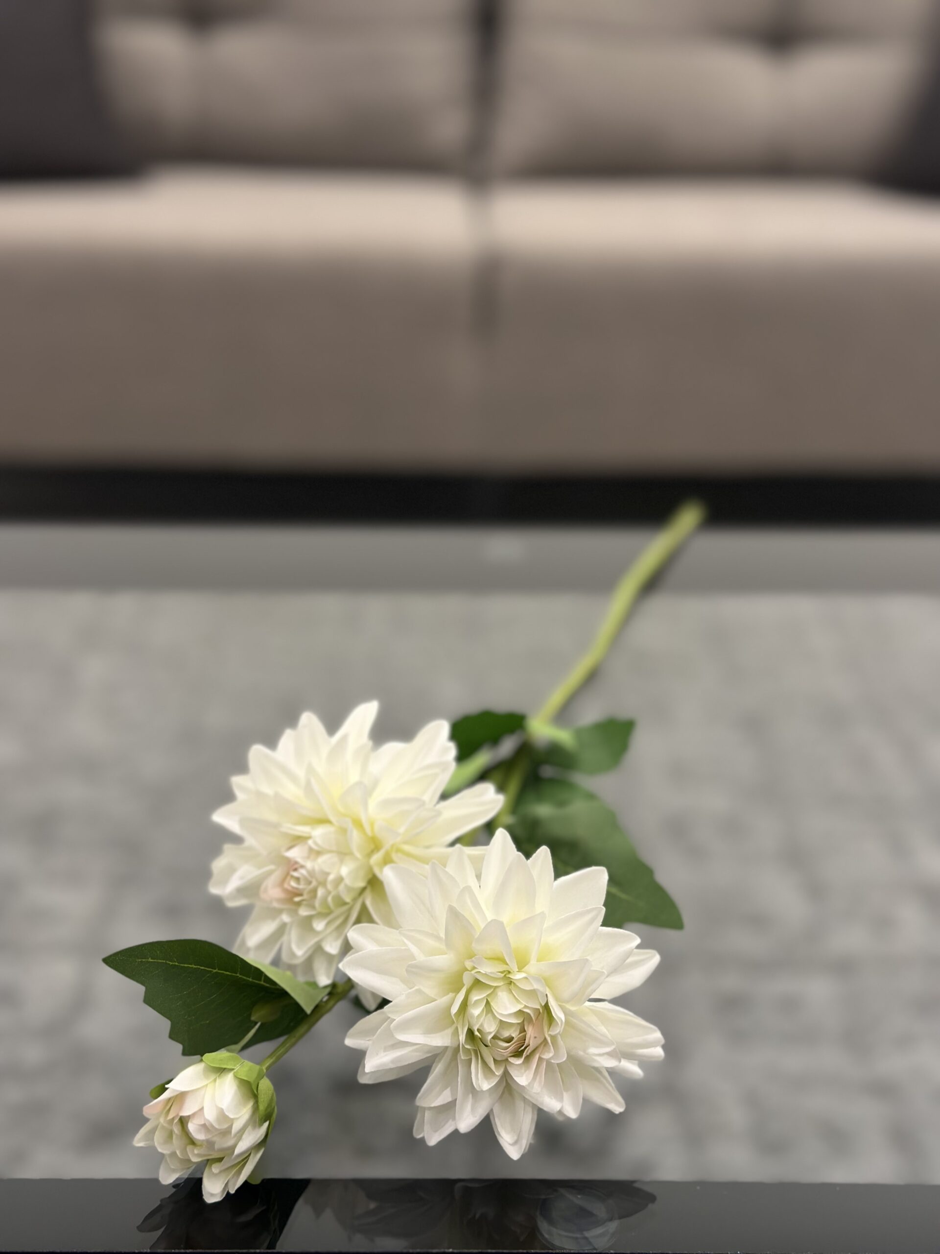 IMG_1979 White Dahlia Stem - Image 1